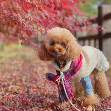 画像をギャラリービューアに読み込む, 組み編みリード(白)