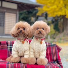 画像をギャラリービューアに読み込む, 組み編みカラー(赤)