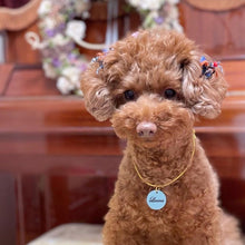 画像をギャラリービューアに読み込む, ネームチャーム(水色)