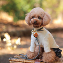 画像をギャラリービューアに読み込む, 組み編みカラー(グレー)