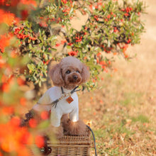 画像をギャラリービューアに読み込む, 組み編みリード(グレー)