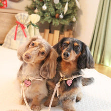 画像をギャラリービューアに読み込む, 組み編みリード(ヌメ)