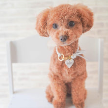 画像をギャラリービューアに読み込む, 組み編みカラー(白)