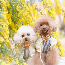 画像をギャラリービューアに読み込む, 組み編みカラー(ヌメ)