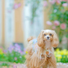 画像をギャラリービューアに読み込む, 組み編みリード(ヌメ)