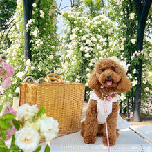 画像をギャラリービューアに読み込む, 組み編みリード(ピンク)