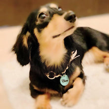 画像をギャラリービューアに読み込む, ネームチャーム(水色)