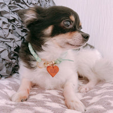 画像をギャラリービューアに読み込む, 組み編みカラー(ミントグリーン)