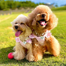 画像をギャラリービューアに読み込む, 組み編みカラー(白)