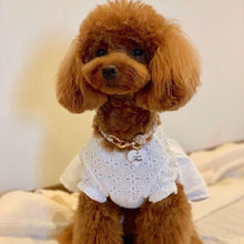 画像をギャラリービューアに読み込む, ネームチャーム(白)