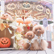 画像をギャラリービューアに読み込む, 組み編みリード(グレー)