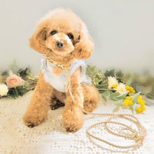 画像をギャラリービューアに読み込む, 組み編みリード(ベージュ)