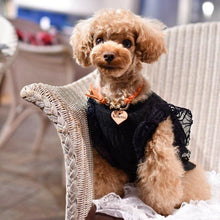 画像をギャラリービューアに読み込む, 組み編みリード(オレンジ)