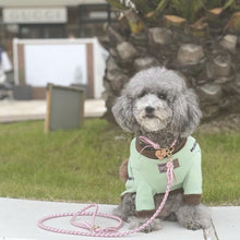 画像をギャラリービューアに読み込む, 組み編みリード(ピンク)