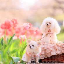 画像をギャラリービューアに読み込む, 組み編みカラー(ベージュ)