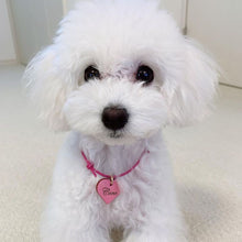 画像をギャラリービューアに読み込む, ネックレス(フューシャピンク)