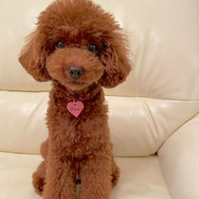 画像をギャラリービューアに読み込む, ネックレス(フューシャピンク)