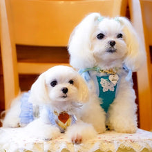 画像をギャラリービューアに読み込む, 組み編みカラー(ミントグリーン)