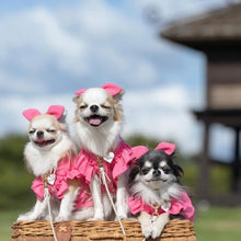 画像をギャラリービューアに読み込む, 組み編みリード(白)