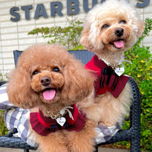 画像をギャラリービューアに読み込む, 組み編みカラー(白)