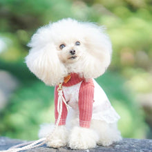 画像をギャラリービューアに読み込む, 組み編みリード(ヌメ)