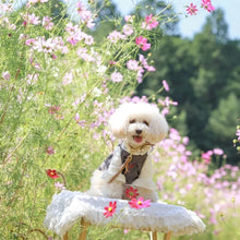 画像をギャラリービューアに読み込む, 組み編みリード(マロン)