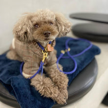 画像をギャラリービューアに読み込む, 組み編みリード(ラベンダー)