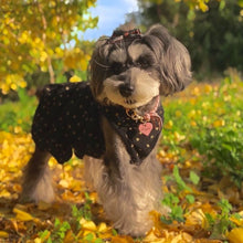 画像をギャラリービューアに読み込む, 組み編みカラー(ピンク)