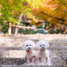 画像をギャラリービューアに読み込む, ネームチャーム(水色)