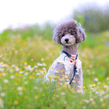 画像をギャラリービューアに読み込む, 組み編みカラー(ネイビー)