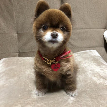 画像をギャラリービューアに読み込む, 組み編みカラー(赤)