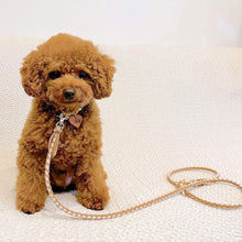 画像をギャラリービューアに読み込む, 組み編みカラー:2色コンビ