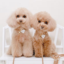 画像をギャラリービューアに読み込む, 組み編みリード(マロン)