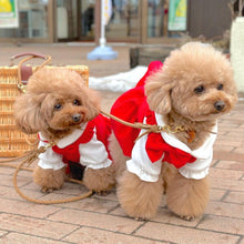 画像をギャラリービューアに読み込む, 組み編みリード(マロン)