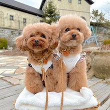 画像をギャラリービューアに読み込む, 組み編みリード(マロン)