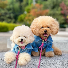 画像をギャラリービューアに読み込む, 組み編みリード(フューシャピンク)