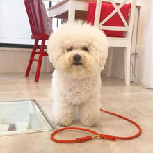 画像をギャラリービューアに読み込む, 組み編みリード(オレンジ)