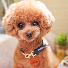 画像をギャラリービューアに読み込む, 組み編みカラー(ネイビー)