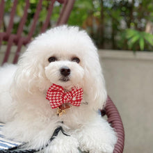 画像をギャラリービューアに読み込む, 組み編みリード(黒)