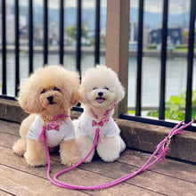 画像をギャラリービューアに読み込む, 組み編みリード(フューシャピンク)