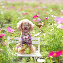 画像をギャラリービューアに読み込む, リボン(白)