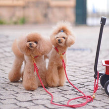 画像をギャラリービューアに読み込む, 組み編みリード(赤)