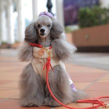 画像をギャラリービューアに読み込む, 組み編みリード(オレンジ)