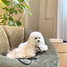 画像をギャラリービューアに読み込む, 組み編みリード(黒)