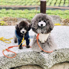 画像をギャラリービューアに読み込む, 組み編みリード(オレンジ)