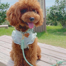 画像をギャラリービューアに読み込む, 組み編みリード(ミントグリーン)