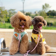 画像をギャラリービューアに読み込む, 組み編みリード(ピンク)