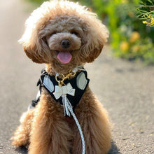 画像をギャラリービューアに読み込む, リボン(白)