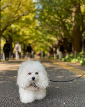 画像をギャラリービューアに読み込む, 組み編みリード(黒)