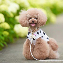 画像をギャラリービューアに読み込む, リボン(白)